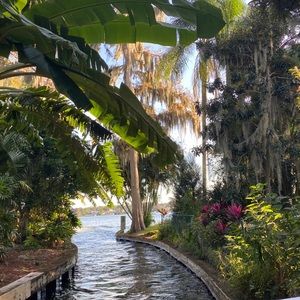 Meet your Posher, Elisandra